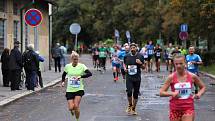 Mattoni 1/2Maraton v Ústí nad Labem.