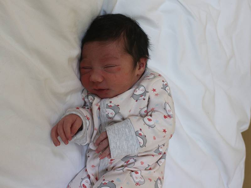 Elizabeth Nicol Horváthová se narodila Nikole Horváthové z Ústí nad Labem 25. prosince ve 4.14 hod. v ústecké porodnici. Měřila 49 cm a vážila 3,3 kg