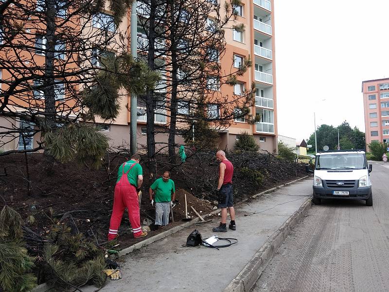 Dělníci opravují veřejné osvětlení, poškozené plameny.