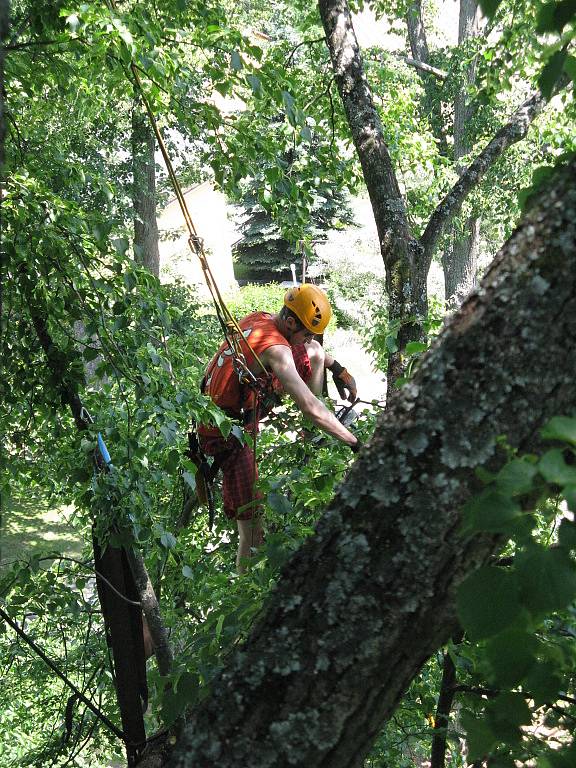 Doslova ekvilibristická čísla častokrát předvádějí lezci zkušení arboristé při ošetřování stromů.