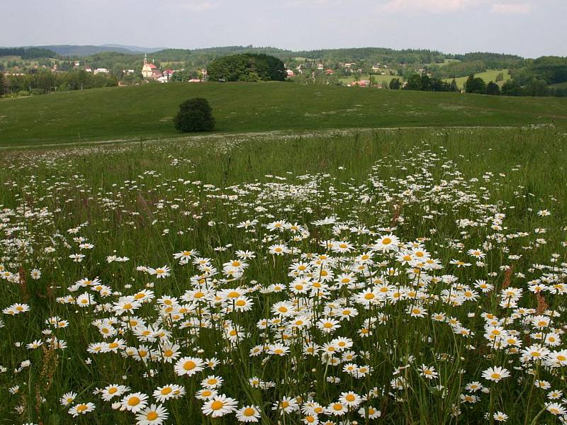 Labské pískovce lákají na roubené chaloupky i rozmanitou faunu a flóru.