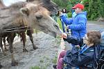 Noc snů v ústecké zoo.