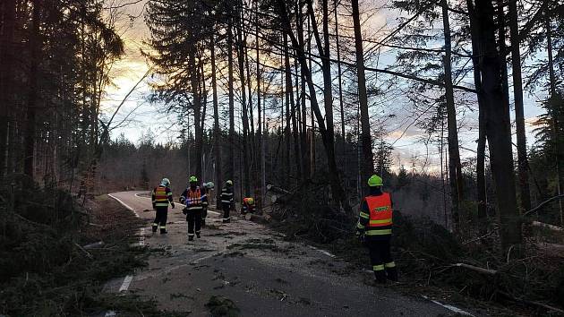 Vítr v Ústeckém kraji lámal stromy. Nejvíce zasažené je Lounsko a Litoměřicko.