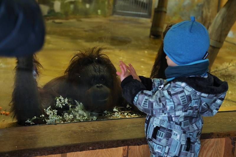 Zahájení nové sezony v ústecké zoo.