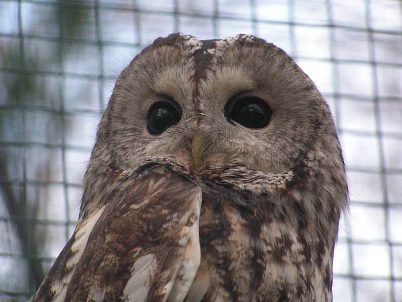 Zoo Ústí nad Labem - ilustrační foto.