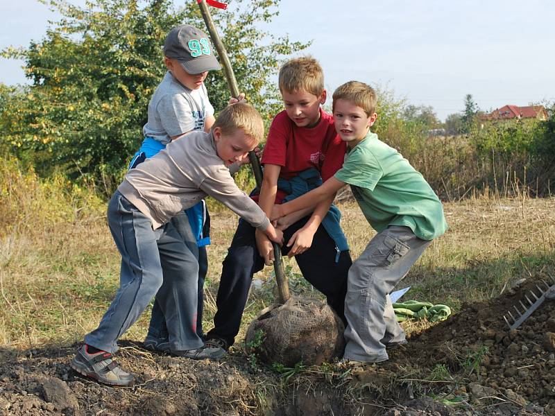 Vysazování stromů je jednou z aktivit, kterou Nadace Partnerství dlouhodobě podporuje.