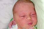 David Procházka se narodil v ústecké porodnici 14. 7. 2014 (06.57) mamince Kateřině Procházkové. Měřil 50 cm a vážil 3,26 kg.