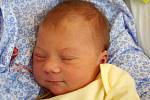 Victoria Lejdarová se narodila v ústecké porodnici 17.8. 2014 (01.57) mamince Nikole Šichové. Měřila 49 cm a vážila 3,15 kg.