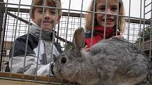 Díky nadšencům se na farmě v Ředhošti uskutečňují zábavná dopoledne pro děti, která umějí perfektně doplnit teoretickou výuku v mateřince a na základní škole