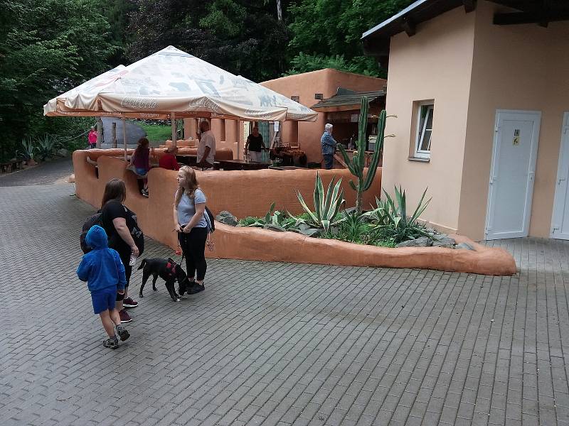 PRÁZDNINY V ZOO. První prázdninový víkend v zoo pokazil lijavec. Přesto neodradil všechny její milovníky a ti dorazili, aby se podívali na broukoviště, Ferdův kvíz i  zvířata. Foto: Deník/Janni Vorlíček