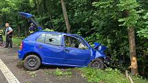 Auto v Chlumci vyjelo ze silnice a narazilo do stromu