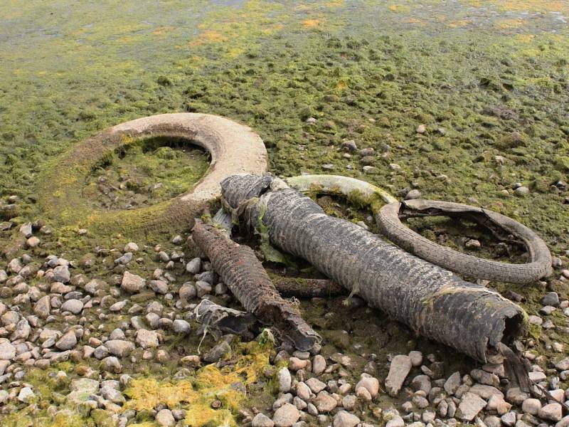 Dobrovolníci se vrhli do koryta Labe, aby ho vyčistili od nepořádku.