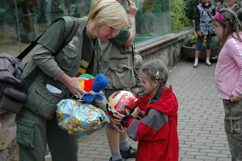 Děti dnes přinesly Ámosovi do ústecké zoo hračky a ovoce.