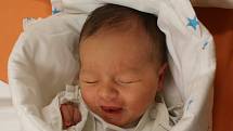 Ema Patricie Švejdová se narodila Ivě Holé a Patriku Švejdovi z Ústí nad Labem 16. prosince v 17.30 hod. v ústecké porodnici. Měřila 48 cm a vážila 3,38 kg