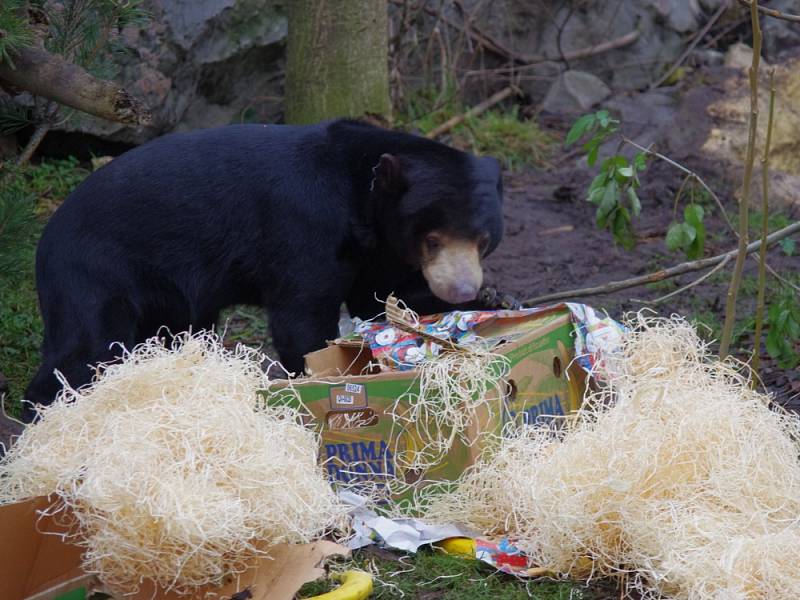 Vánoce v ZOO Ústí nad Labem