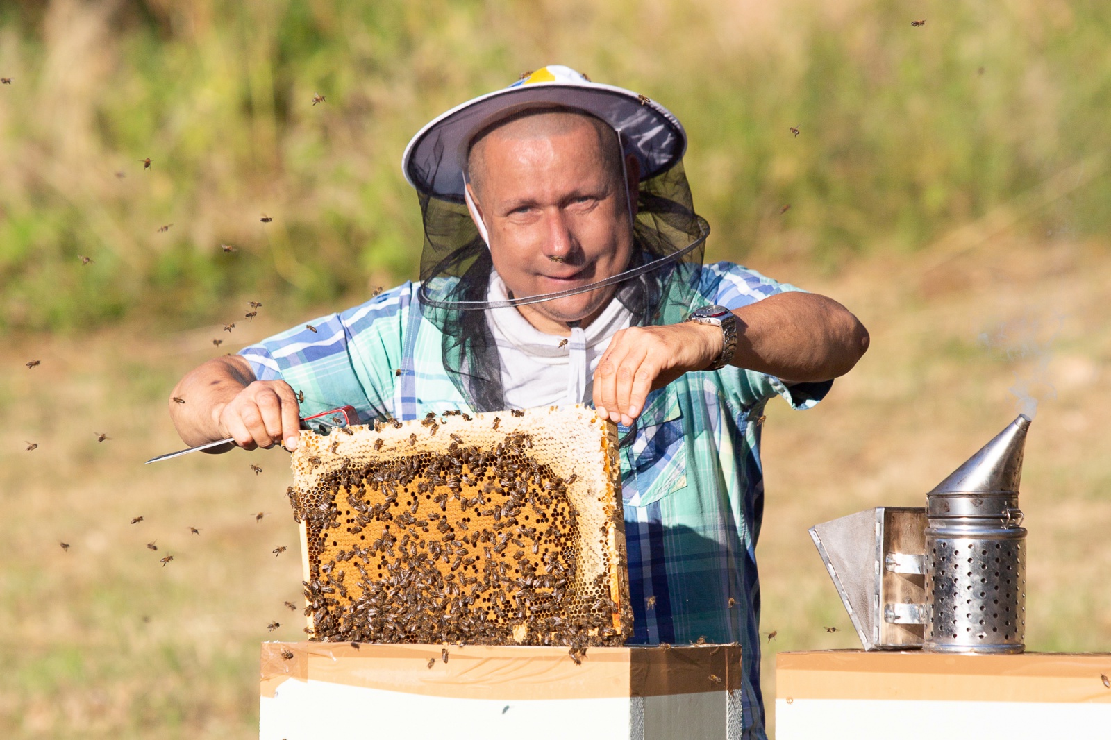 Kdo je včelař?