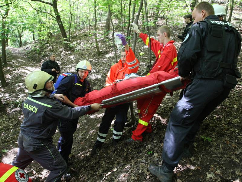 Cvičení má prověřit součinnosti členů Červeného kříže (ČČK) při pátraní po pohřešované osobě se zraněním.
