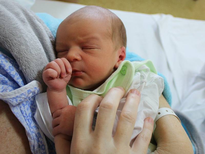 Adam Kříž se narodil v ústecké porodnici 6.3. 2017 (8.26) Květě Rodovské. Měřil 49 cm, vážil 3,09 kg.