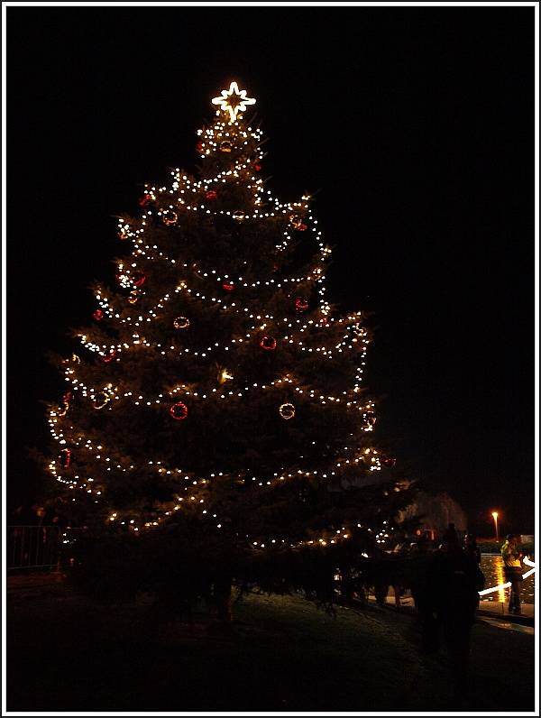 Rozsvícení vánočního stromečku na Severní Terase.