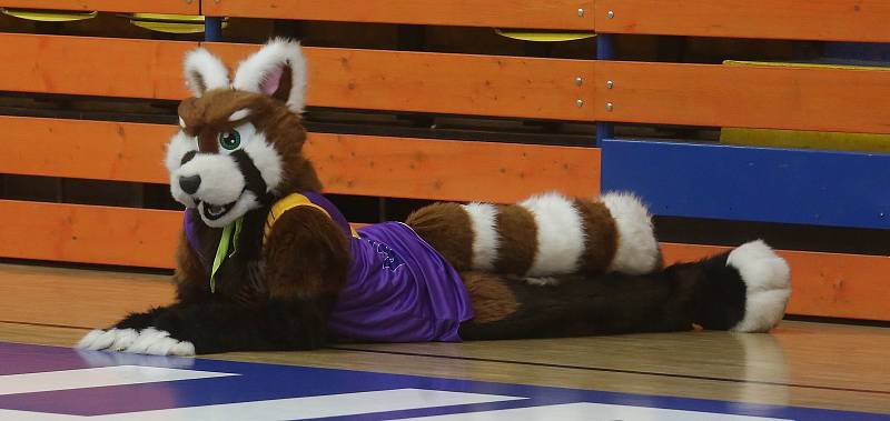 Maskot basketbalistů Ústí nad Labem Sunny