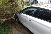 Část stromu v Žukovově ulici na Střekově se odlomila a spadla na zaparkovaný automobil.