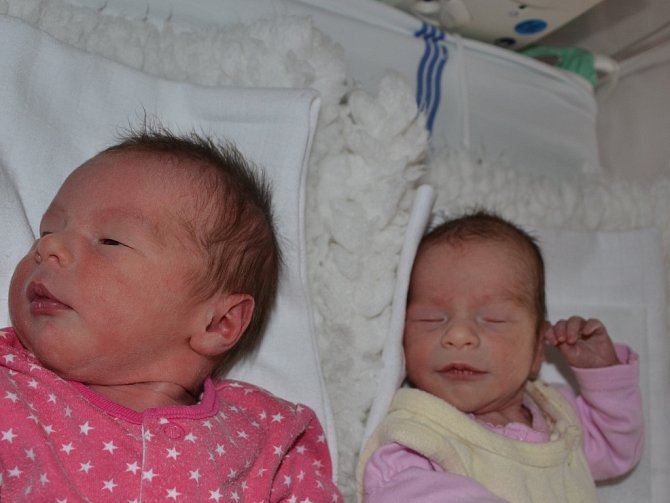 V ústecké porodnici se narodila první dvojčata letošního roku. 