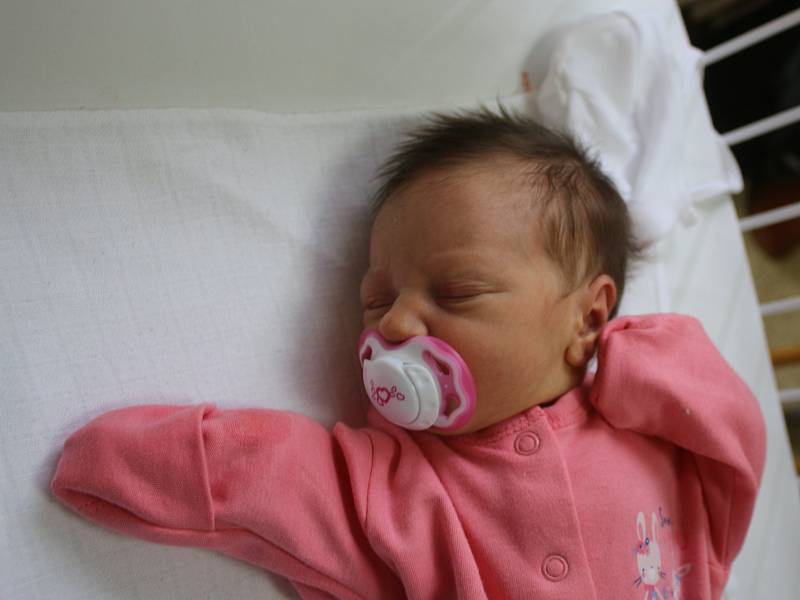 Natálie Horvátová se narodila Pavlíně Horvátové z Ústí nad Labem 22. srpna ve 13.25 hod. v ústecké porodnici. Měřila 48 cm a vážila 2,7 kg.