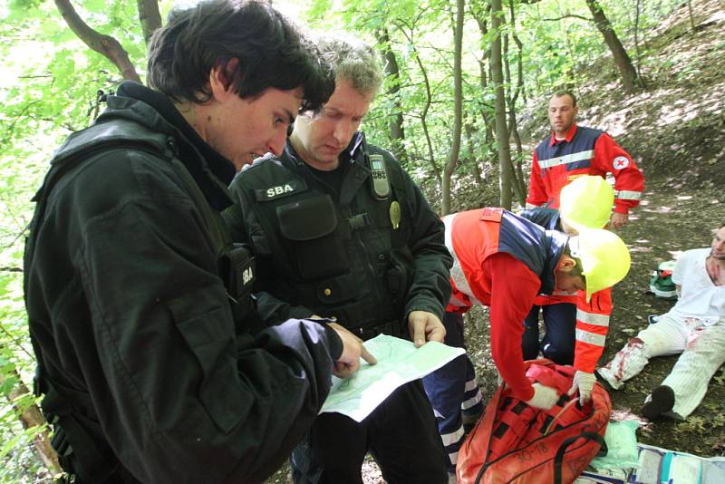 Cvičení má prověřit součinnosti členů Červeného kříže (ČČK) při pátraní po pohřešované osobě se zraněním.