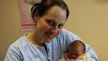 Tereza Velebová se narodila Soně Gutscherové z Dubí 17. listopadu ve 12.28 hod. Měřila 48 cm, vážila 2,95 kg