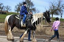 Klienti společnosti Helias navštívili koníky v Mirkově.