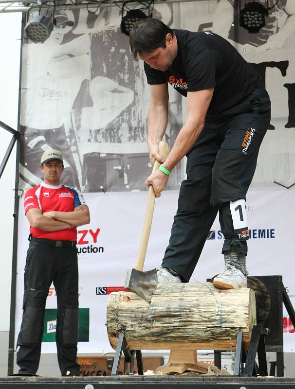 Festival dřeva v Letním kině