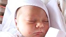 Tomáš Satrapa se narodil v ústecké porodnici 10.5. (16.02) Anně Satrapové. Měřil 54 cm, vážil 4,16 kg.