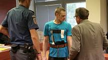 Případem brutální vraždy teplické prostitutky se ve středu začal zabývat Krajský soud v Ústí nad Labem. Obžalovaným je 29letý Ukrajinec Andrii Matsola.