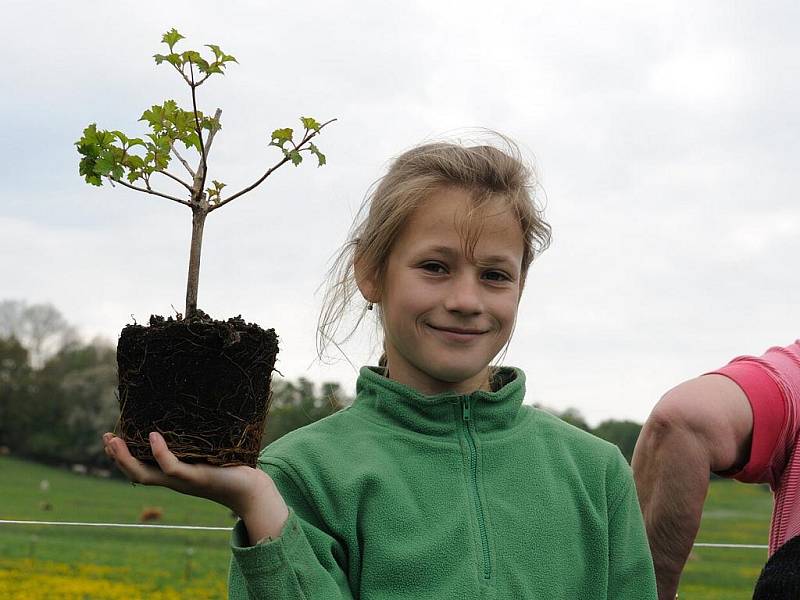 Vysadíte si 28. října 2011 i vy svůj strom?