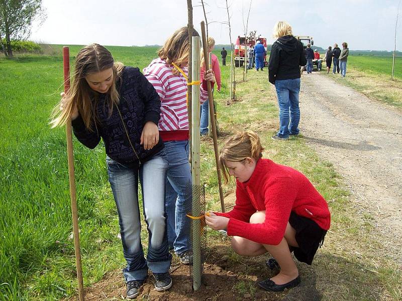 Vysadíte si 28. října 2011 i vy svůj strom?