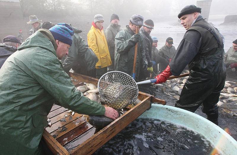 Rybáři měli v pátek výlov Habrovického rybníka.