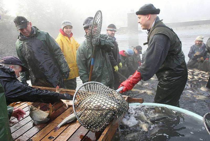 Rybáři měli v pátek výlov Habrovického rybníka.