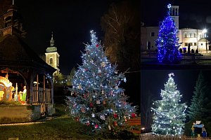Vánoční stromy v Zubrnicích, Povrlech a Chlumci