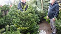 Prodej vánočních stromů v Ústí nad Labem