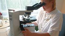 Patologie  to jsou především tisíce laboratorních vyšetření.