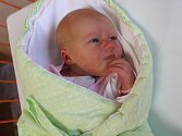 Adina Dvořáková se narodila Pavle Dvořákové z Ústí nad Labem 25. listopadu v 19.08 hod. v ústecké porodnici. Měřila 50 cm a vážila 3,55 kg