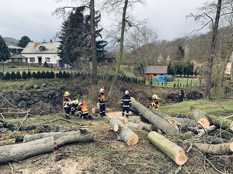 Padlý strom přerušil v Homoli U Panny elektrické vedení