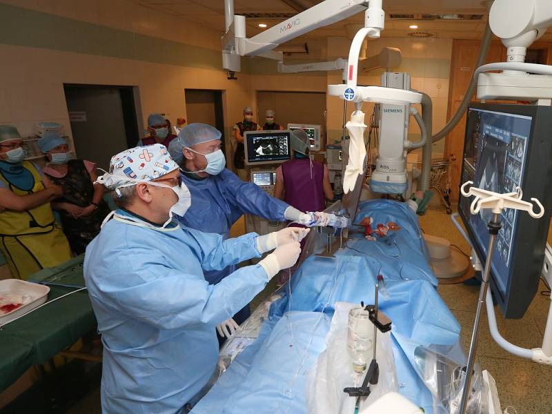 Novou metodu katetrizační operace nedomykavé srdeční chlopně zavádějí na Kardiologické klinice Masarykovy nemocnice.