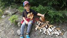 Pěkné snímky z houbaření v Krušných horách zaslala do redakce čtenářka Veronika