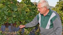 Jaroslav Puchta chce oživit vinařství v Újezdu