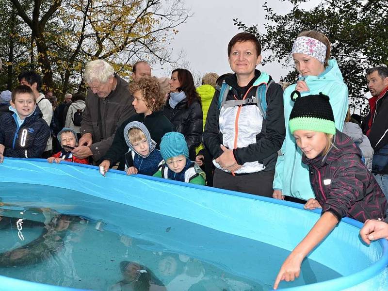 Výlov Habrovického rybníka přilákal stovky diváků