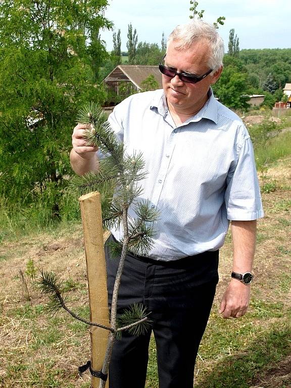 V obci Hora Svatého Šebestiána podle starosty Jana Koutského vysadili 146 nových stromů. 