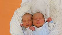 Jan a Jakub Pacinovi se narodili Kateřině a Janovi Pacinovým z Chomutova 7. září v 8.11 a 8.13 hodin v Ústí nad Labem. Měřili 49 a 47 cm, vážili 3,29 a 2,97 kg