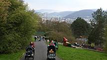 Zoo Ústí nad Labem.