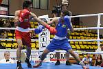 Velká cena Ústí nad Labem v boxu 2017, finálové zápasy